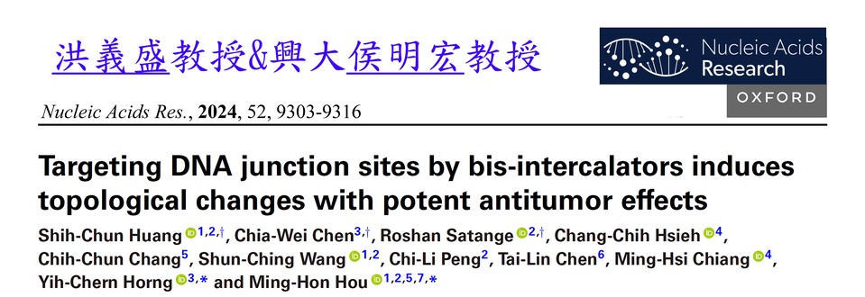 Targeting DNA junction sites by bis-intercalators induces topological changes with potent antitumor effects